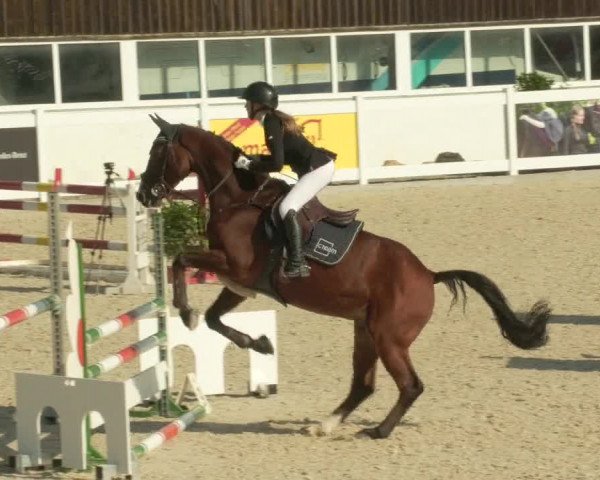 Springturnier Memmingen 2021