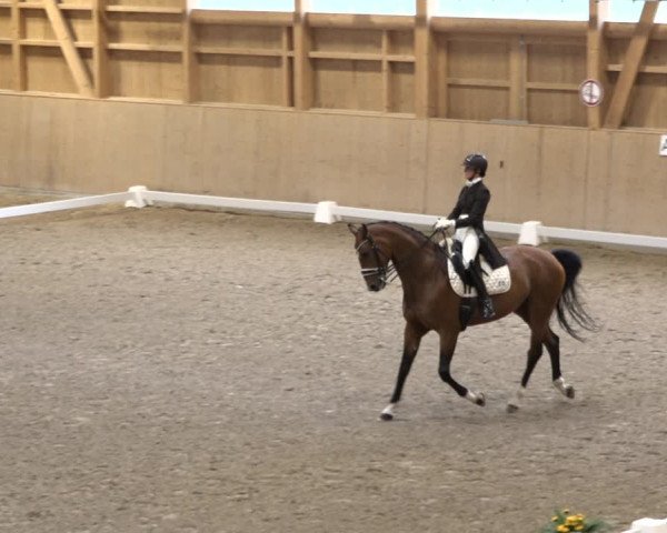 Reitturnier Dielsdorf, Horsepark 2021