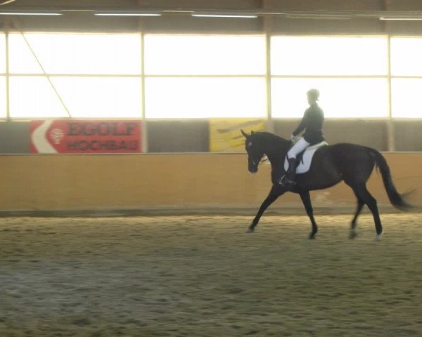 Reitturnier Bissegg 2021
