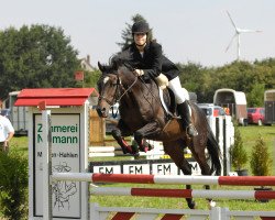 stallion Kaiser Konrad (German Riding Pony, 1992, from Kaiserjaeger xx)