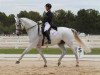 dressage horse Dunkerque (Danish Warmblood, 2000, from Don Schufro)