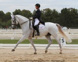 dressage horse Dunkerque (Danish Warmblood, 2000, from Don Schufro)