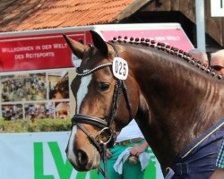 broodmare Cara Mia (Westphalian, 2009, from Coupe de Coeur 2)