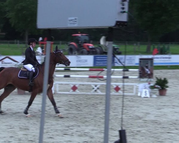 Reitturnier Nienberge-Schonebeck 2021