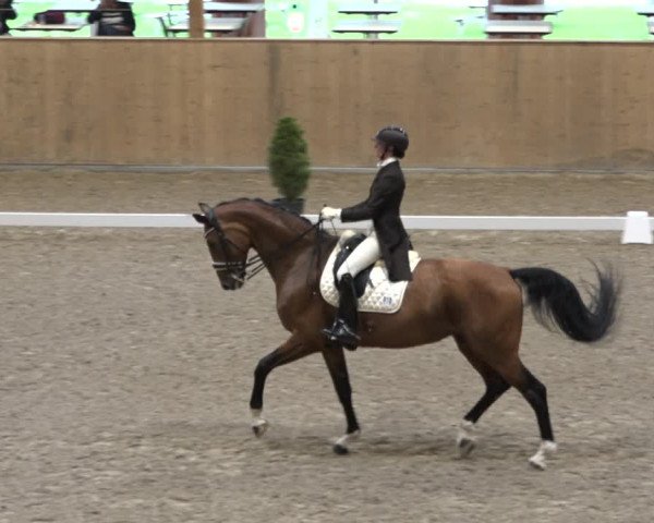 Reitturnier Dielsdorf, Horsepark 2021