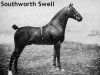 Deckhengst Southworth Swell (Hackney (Pferd/Pony), 1907, von Pinderfields Horace)
