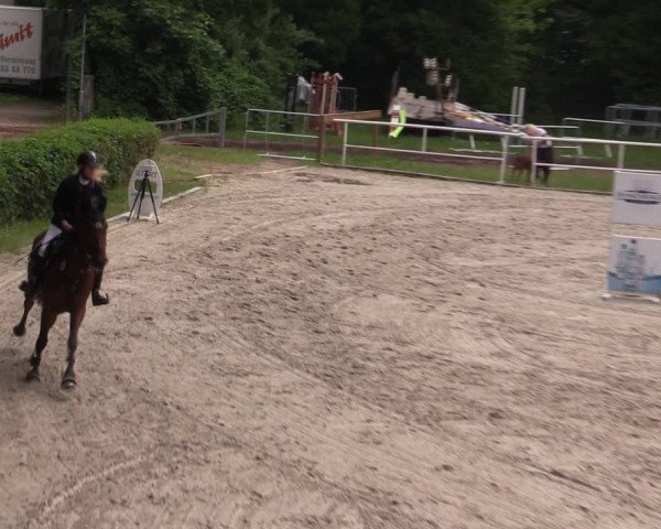 Reitturnier Prussendorf 2021