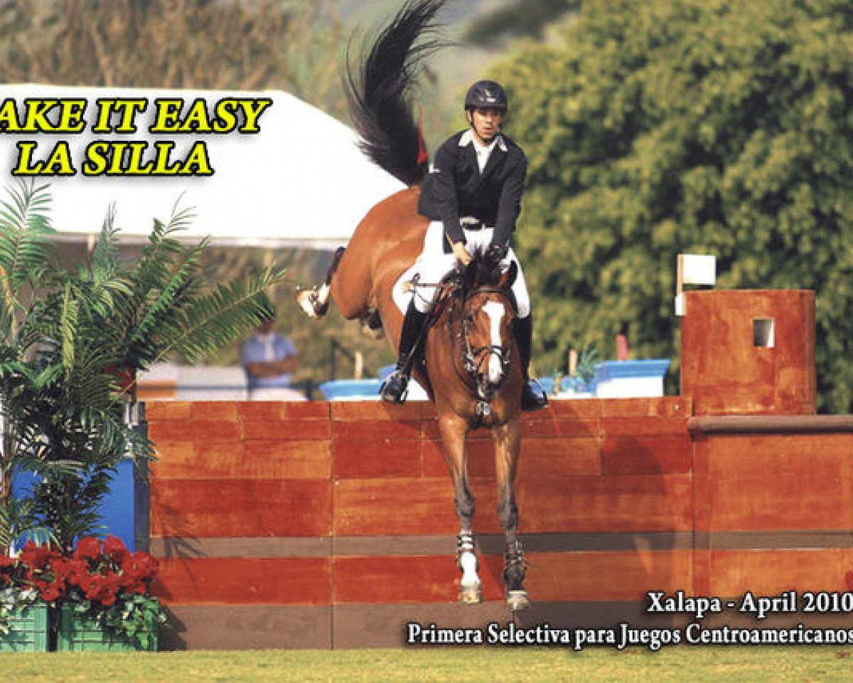 broodmare Take It Easy La Silla (KWPN (Royal Dutch Sporthorse), 2000, from Now Or Never M)
