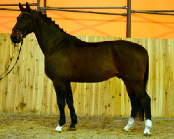 horse Luxus (Hanoverian, 2009, from Rotspon)