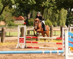 broodmare Damita Jo (German Riding Pony, 2004, from Don't Worry Be Happy)