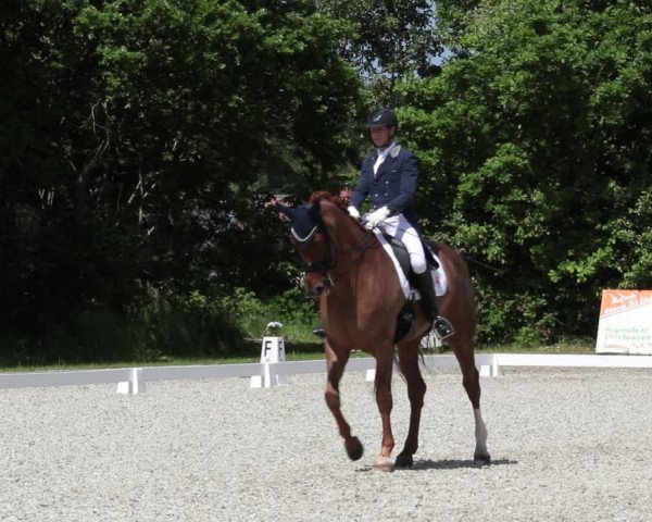 Reitturnier Elmlohe 2021