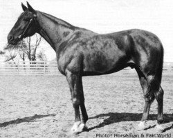 stallion Scotland 68146 (US) (American Trotter, 1925, from Peter Scott US-64391)