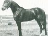 stallion Axkit (US) (American Trotter, 1930, from Guy Axworthy US-37501)