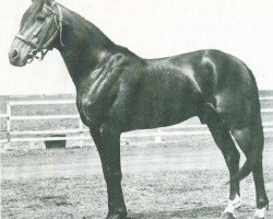 stallion Axkit (US) (American Trotter, 1930, from Guy Axworthy US-37501)