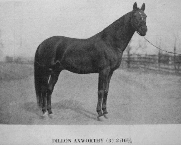 Deckhengst Dillon Axworthy US-53323 (Amerikanischer Traber, 1910, von Axworthy US-24845)