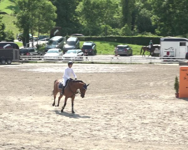Reitturnier Aesch bei Neftenbach 2021