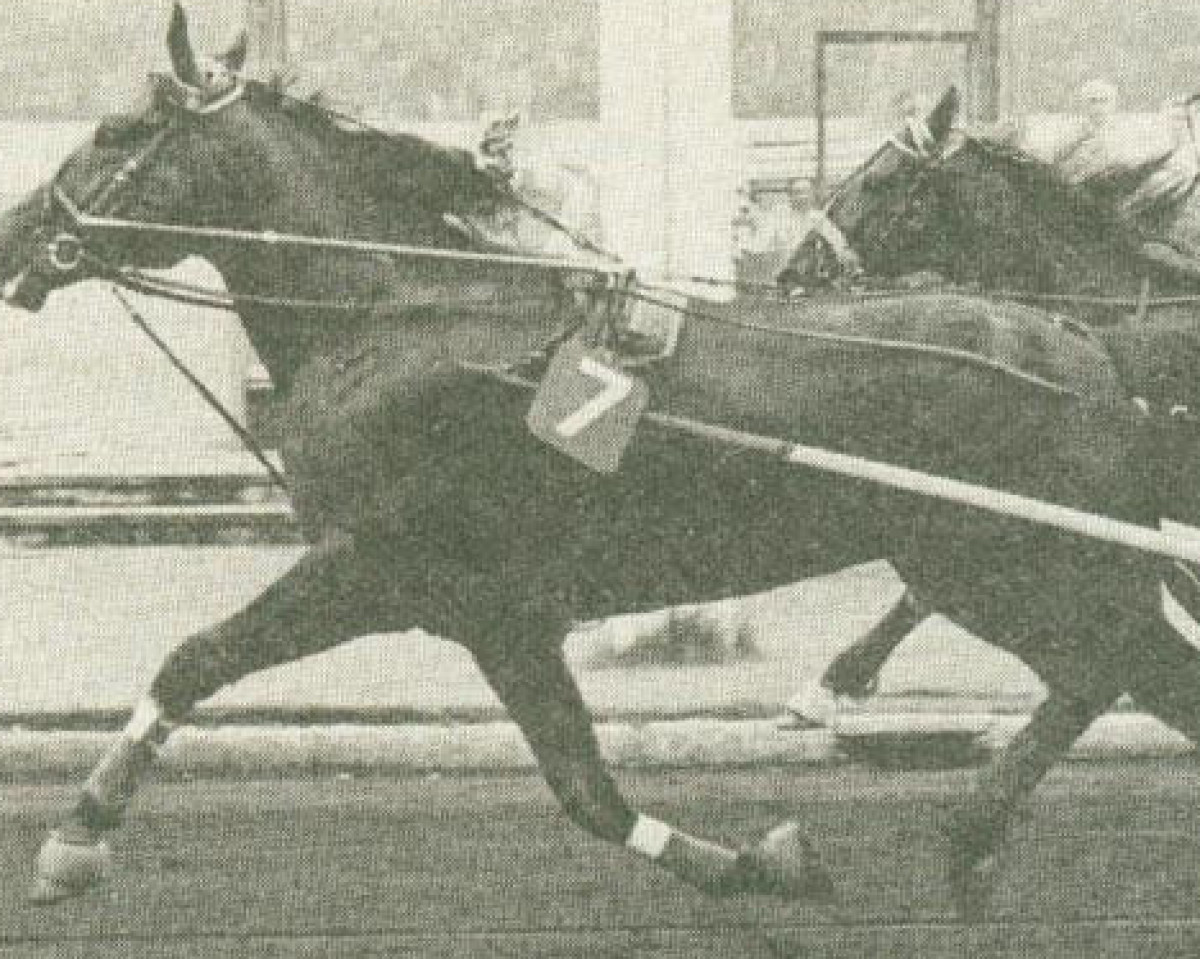 Deckhengst Arden Al (US) (Amerikanischer Traber, 1967, von Jamie 85267 (US))