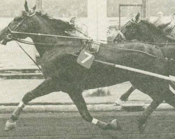 stallion Arden Al (US) (American Trotter, 1967, from Jamie 85267 (US))