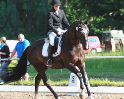 broodmare Curly Sue (Mecklenburg, 2007, from Casaretto)