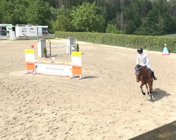 Reitturnier Aesch bei Neftenbach 2021