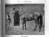 stallion Childwick xx (Thoroughbred, 1890, from Saint Simon xx)