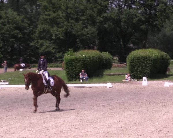 Reitturnier Münster-Handorf 2021