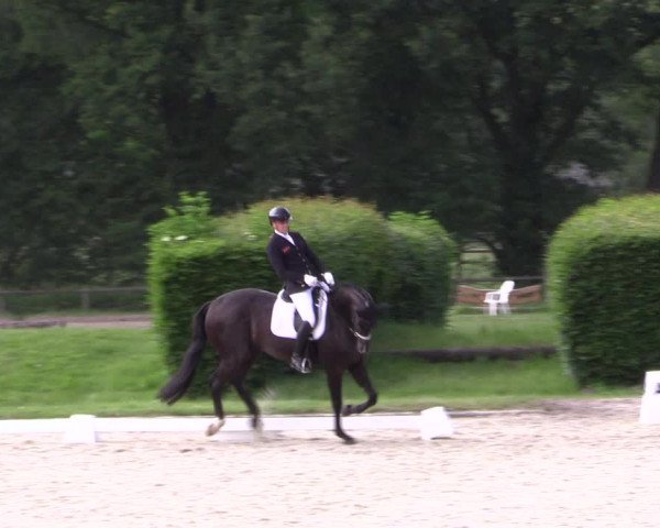 Reitturnier Münster-Handorf 2021