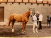 broodmare Umsicht (Trakehner, 1986, from Opal MO 1306)