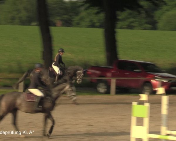 Reitturnier Recklinghausen 2021