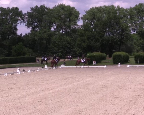 Reitturnier Münster-Handorf 2021