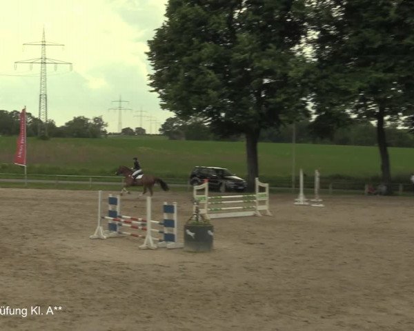 Reitturnier Recklinghausen 2021