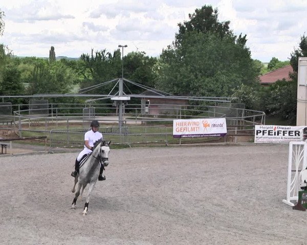 Reitturnier Worms-Pfeddersheim / Reitsportanlage Wittemer 2021