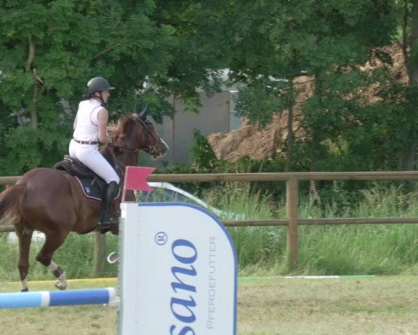 Reitturnier Lahr-Langenwinkel 2021