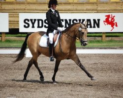 horse Bristol Cream (Swedish Riding Pony, 1995, from Ekelunds Nalle)