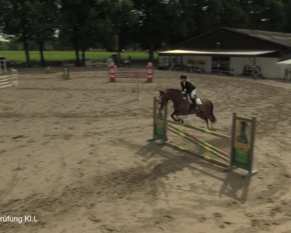Reitturnier Recklinghausen 2021