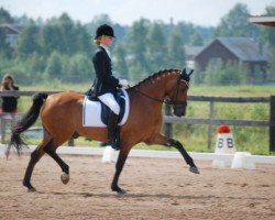 horse Bambino (Swedish Riding Pony, 1999, from Carolinas Foxglove)