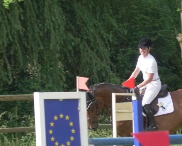 Reitturnier Lahr-Langenwinkel 2021