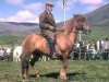 broodmare Brynja frá Kolkuósi (Iceland Horse, 1960, from Léttir frá Kolkuósi)