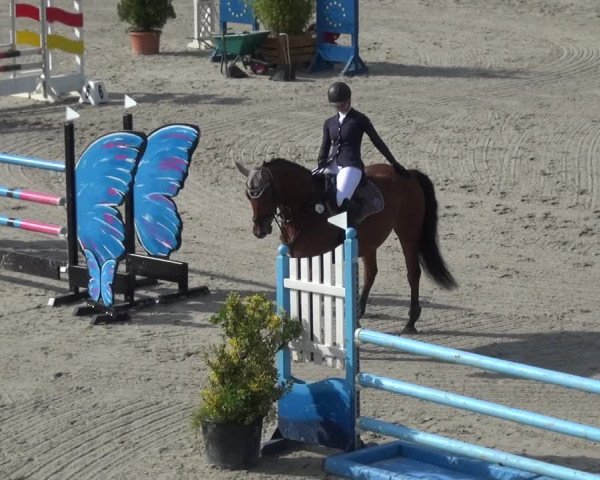 Reitturnier Monheim - Gut Blee 2021