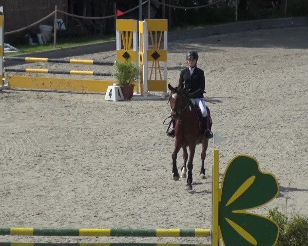 Reitturnier Monheim - Gut Blee 2021
