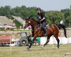 Zuchtstute Botana (Polnisches Warmblut, 2010, von Turbud Quirinus)