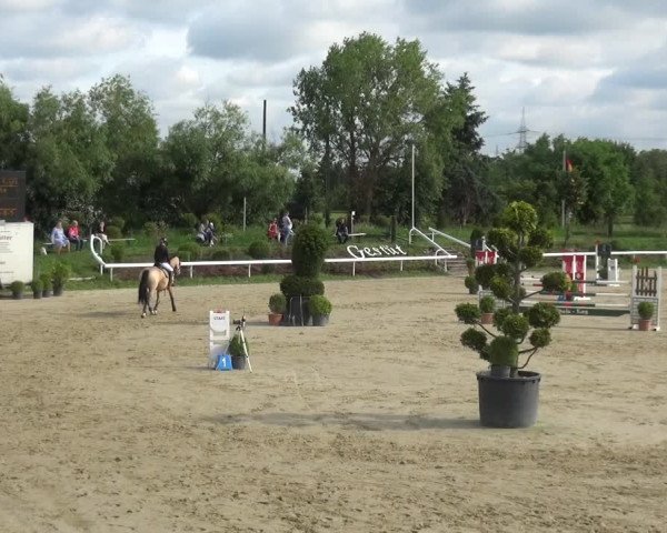 Reitturnier Bornheim-Widdig 2021