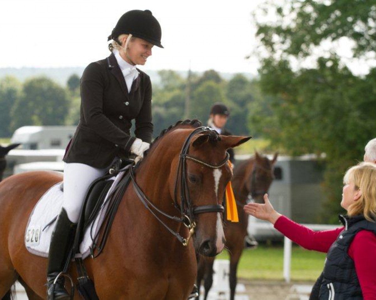 Zuchtstute FS Lovely Little Lucy (Rheinländer, 2006, von Lord Loxley I)