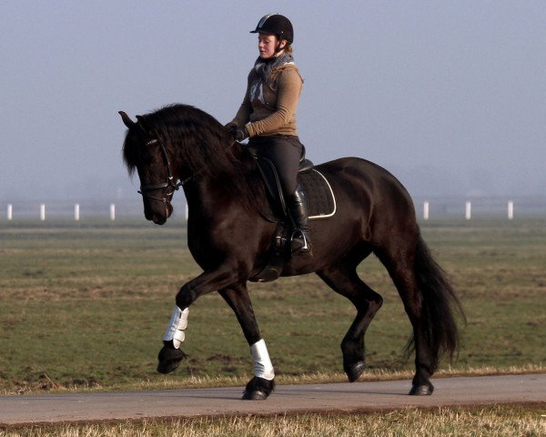 Zuchtstute Esther (Friese, 2009, von Twyford Pepper II)