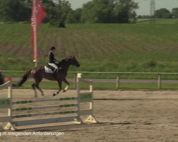 Reitturnier Recklinghausen 2021