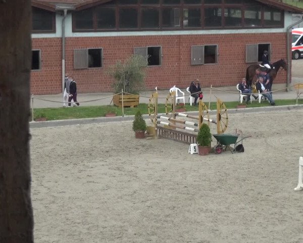 Reitturnier Monheim - Gut Blee 2021