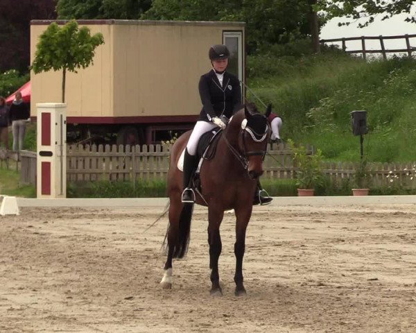 Reitturnier Schülp / Rendsburg 2021