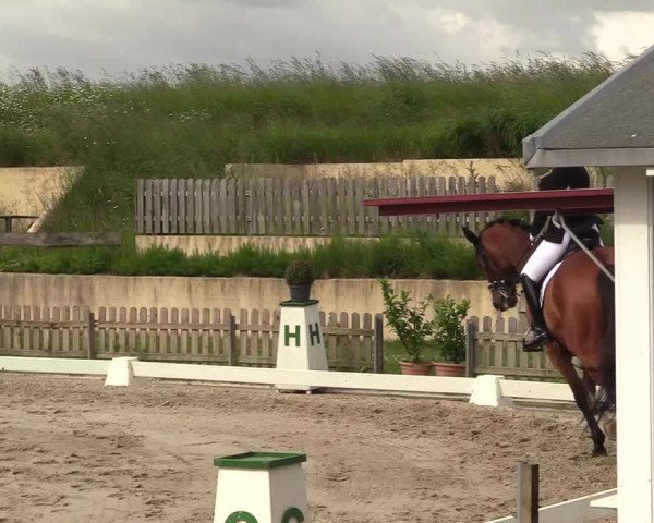 Reitturnier Schülp / Rendsburg 2021