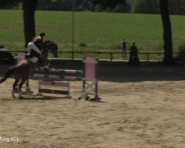 Reitturnier Recklinghausen 2021