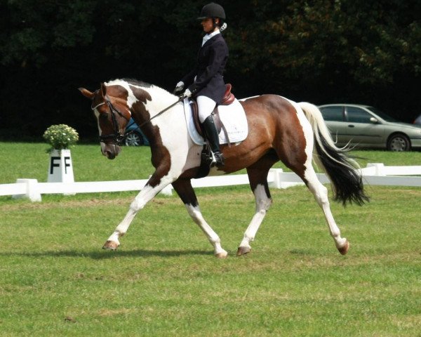 horse Ileisa (KWPN (Royal Dutch Sporthorse), 2005, from Ilasso)
